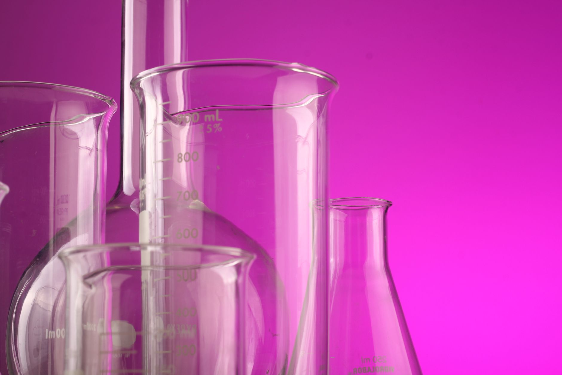 China’s Biotech Boom: Lab Monkeys Now Cost $26,000